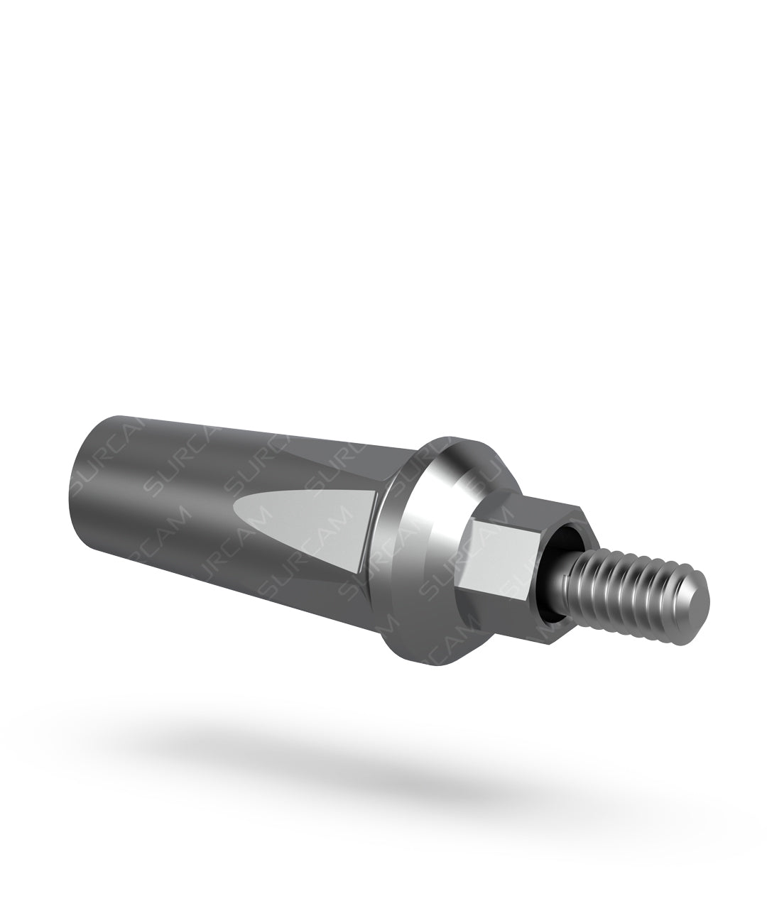 Internal Hex Straight Level Abutment with Hex Body