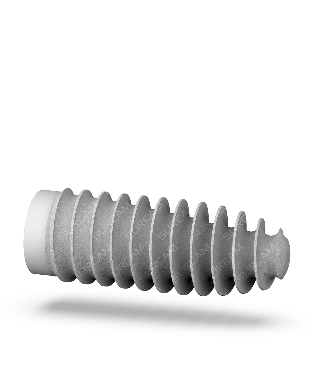 Universal Dental Implant D1 D4 Bone Stability