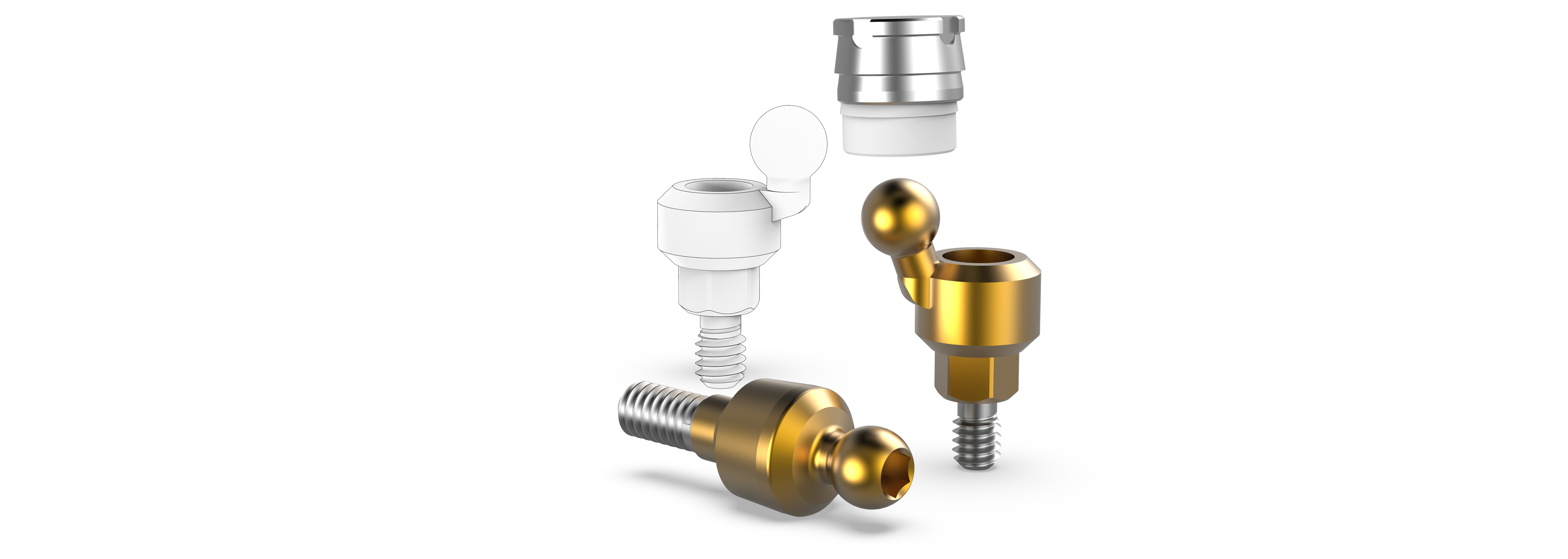Removable Denture Components for Overdentures