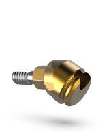 Wise-Lock system for implant-retained removable dentures