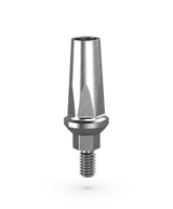 Hex-Shaped Prosthetic Abutment 3.75 Platform