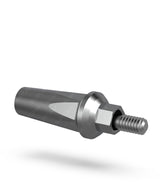 Internal Hex Straight Level Abutment with Hex Body