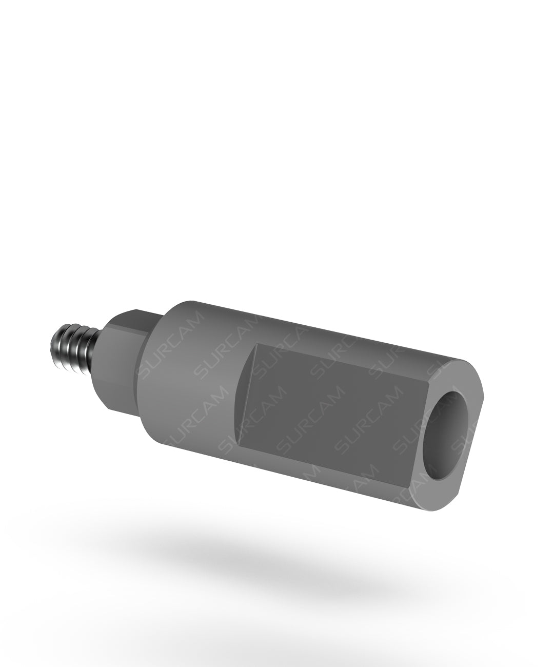scan abutment with prosthetic screw for IOS